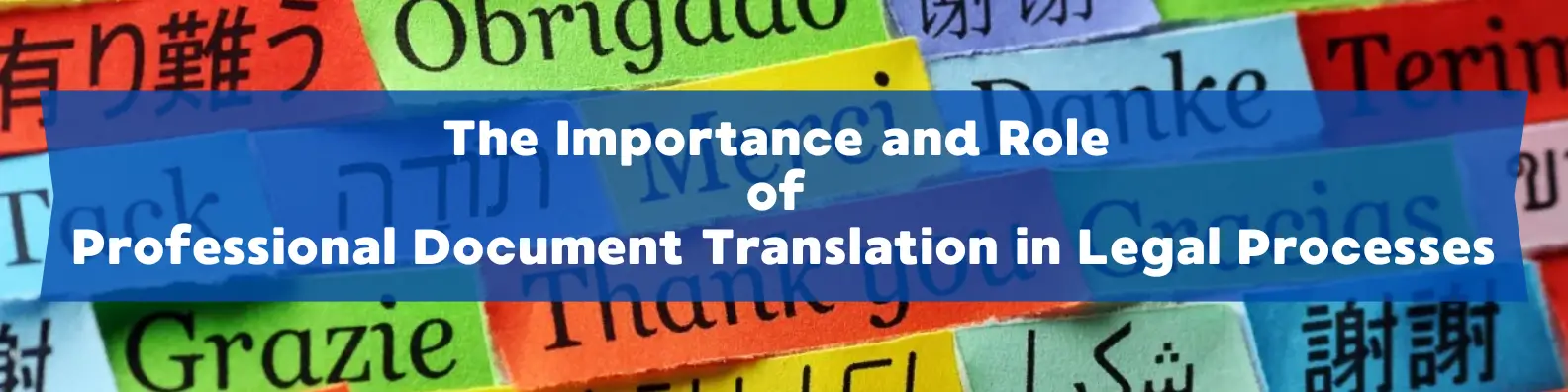 The Importance and Role of Professional Document Translation in Legal Processes