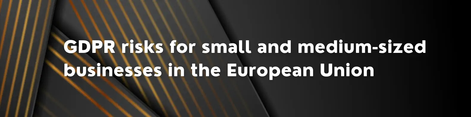 GDPR risks for small and medium-sized businesses in the European Union 