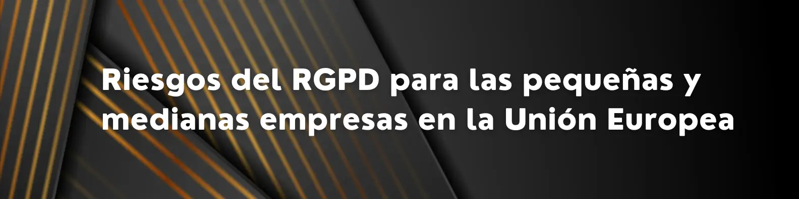 Riesgos del RGPD para las pequeñas y medianas empresas en la Unión Europea 