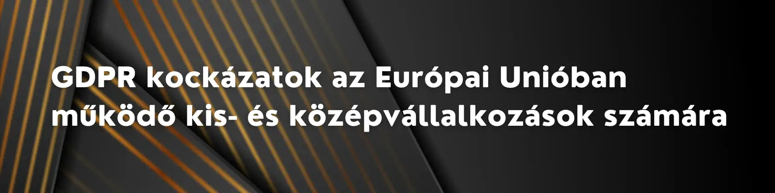 GDPR kockázatok az Európai Unióban működő kis- és középvállalkozások számára 