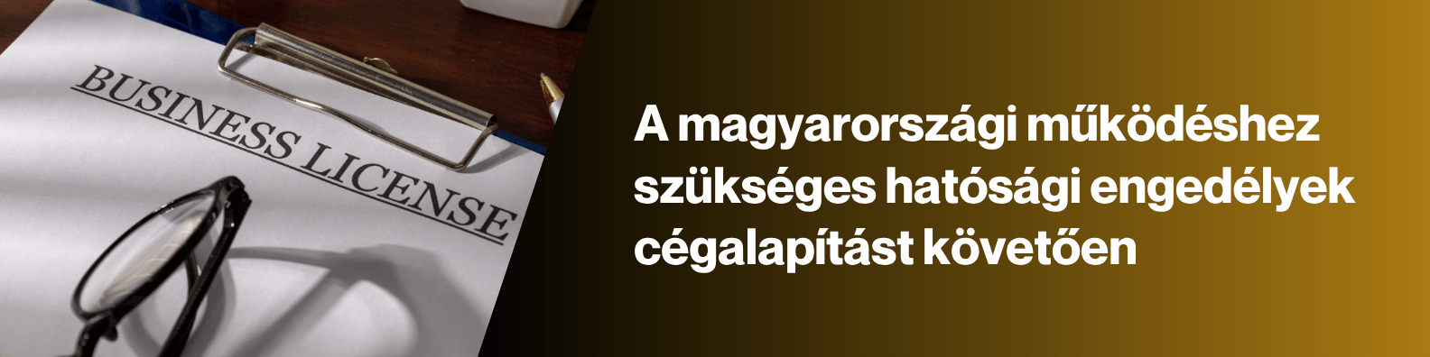 A cégbejegyzés csak az első lépés: milyen engedélyekre lehet szükség Magyarországon különböző iparágakban?