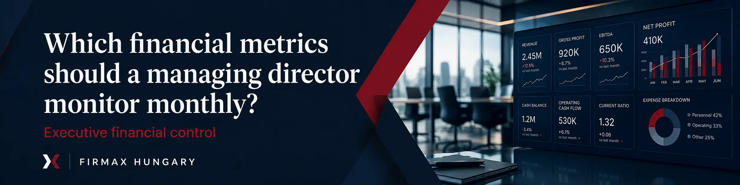 What financial indicators should the managing director of a limited liability company monitor on a monthly basis?